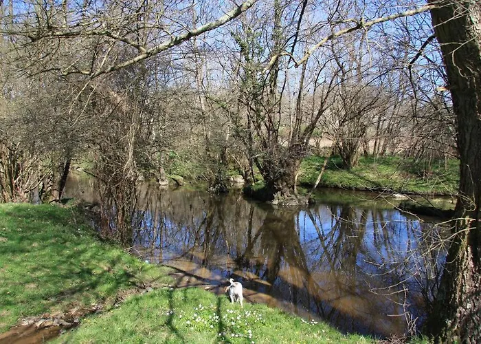 The Petit At Chateau Mareuil Апартаменты Brigueil-le-Chantre