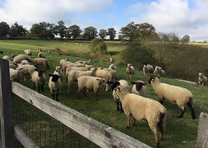 The Petit At Chateau Mareuil Апартаменты